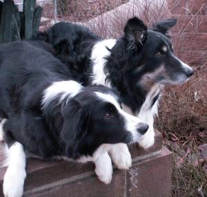 Schau, da gibts gleich was Schnes