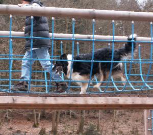 Dusty und Philip klettern