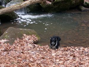 Dusty brauchte eine Abkhlung