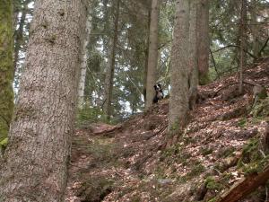 Suchbild Moni: Frau Mon im Monbachtal