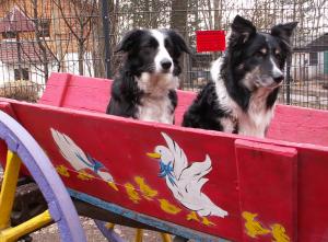 Hochzeitspaar in Hochzeitskutsche