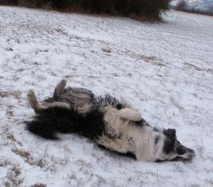 Dusty: I feel so good