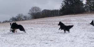 Alle spielen, nur Moni muss im Auto warten