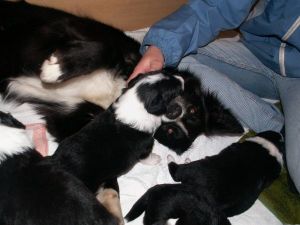 Dala mit ihren Halbgeschwistern