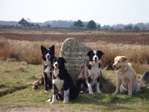 Amidala, Bijou, Moni und Savage