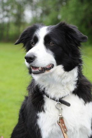 Moni am 01. Mai 2009_DSC3681.jpg