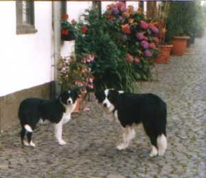 Antonia und Kumpel Duncan