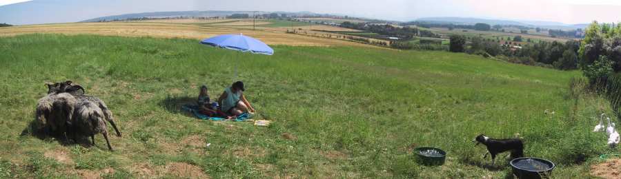 ...ein Htepicknick in Baddeckenstedt?