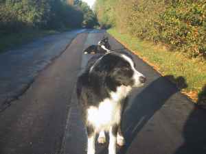 Herbst in Klingenberg