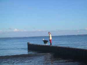 Klettern in Niendorf