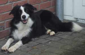 Monis neuer Lieblingsplatz (für Schwangere?)