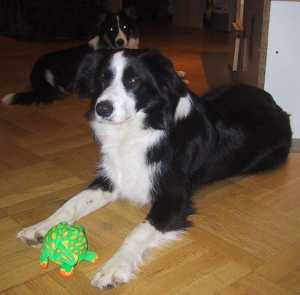 Moni war äußerst vorsichtig mit dem Schaumstofftier!