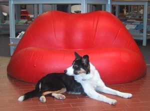 "Bin ich nicht zum Knutschen?"