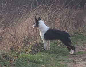 Hey, was ist denn das??? Meer???