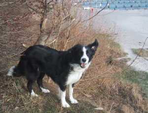 Ja, bitte- ich bin ganz Ohr???