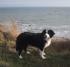 Hach, ist das schön hier!