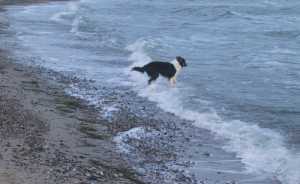 Juchhu, ich krieg dich, Welle!