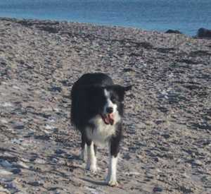 ...und etwas außer Puste...