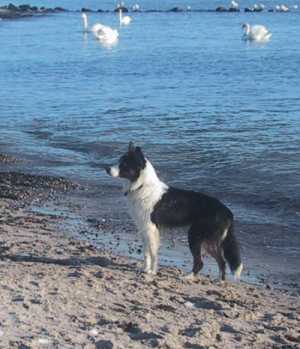 o.K. bleib ich halt mal stehen, ich bin ein schner Italiener!