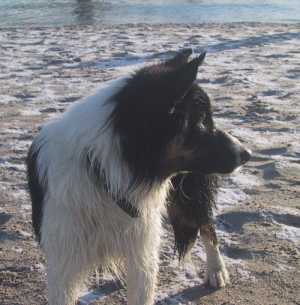 Sogar nass sehe ich gut aus ;-)