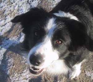 Ich bin´s- eure Moni!