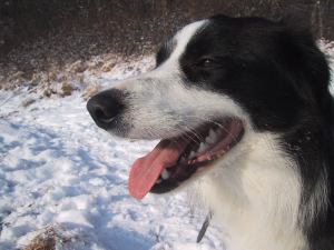 Moni im Winter 2002/3