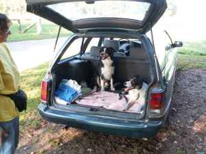 Bruno sprang gleich in unseren Kofferraum