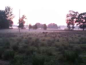 Herbststimmung auf der Schafswiese