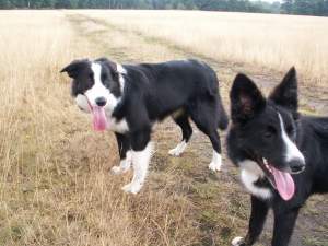 Adato und Amidala: kurze Spielpause