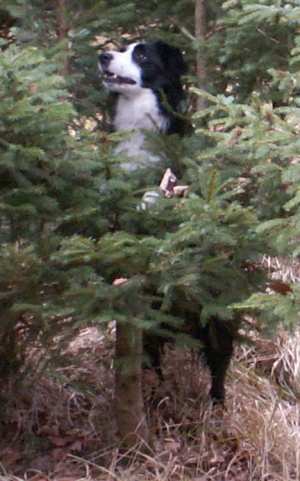 Halloo, ich bin´s- eure Moni!