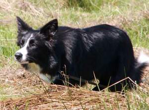 Walk on aus anderer Perspektive