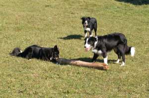 Amidala und Adato, dahinter Amely