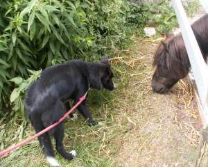 Vorsichtige Untersuchung: Wer bist denn du?