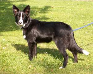 Amidala 6 Monate alt