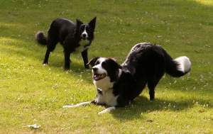 Moni mit ihrer Tochter Amidala