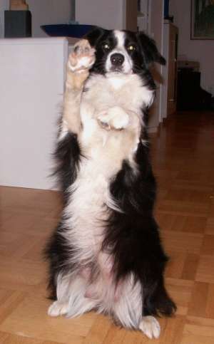 Hallo, ich bin´s eure Moni- fitt und fidel!!!