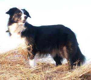 Spaziergang kurz vor der Geburt