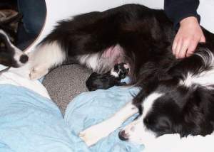 Moni mit ihrem Erstgeborenen Adato