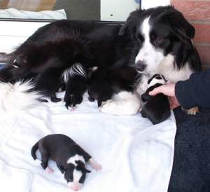 Hilfe!!! Ich suche meine Mama!!!