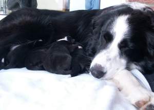 Puh, ist das ermdend!