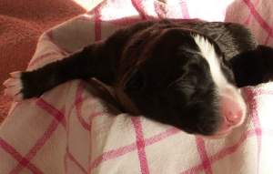 Amidala am 22.01.2005