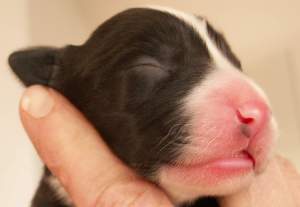 Ayleen am 22.01.2005