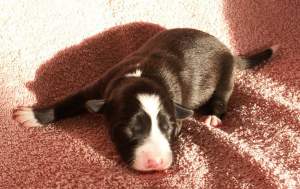 Ayleen am 22.01.2005