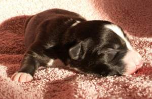 Ayleen am 22.01.2005