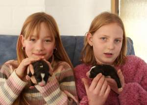 Kuschelzeit fr Janna mit Ayleen und Lorena mit Amidala