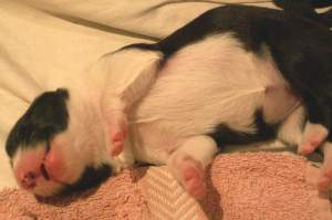 Antonia ganz entspannt und voller Vertrauen