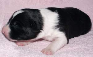 Antonia eine Woche alt