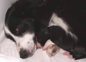 Ayleen kuschelt mit Mama