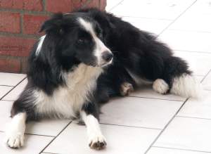 Mama Moni khlt ihr Gesuge 02.02.05