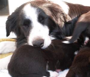 Stillen ist anstrengend